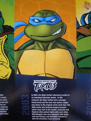 Who Is Your TMNT?