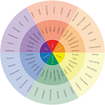 What Kind of Feeling Type Are You?