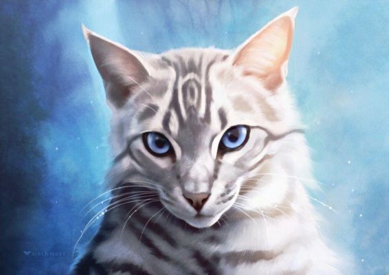 How much do you know about Graystripe?