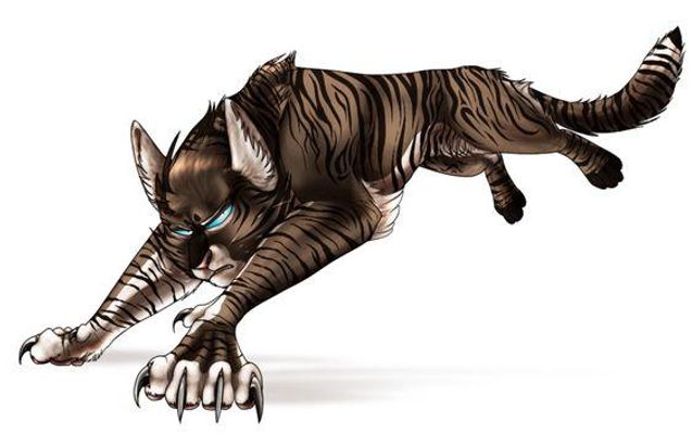 Short warrior cats quiz