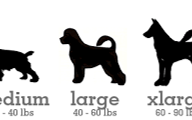 What dog size would best benefit you?