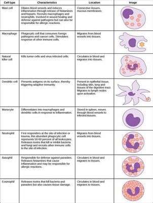 Microbiology Master