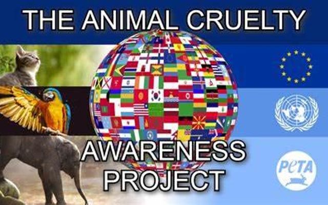 Animal Cruelty Personality Quiz