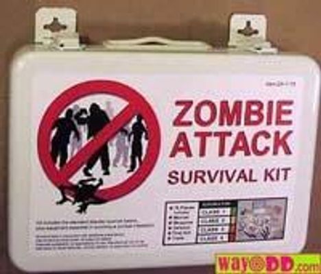 Would you Survive the Zombie Apocalypse? (1)