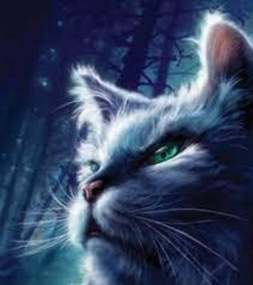 Warrior Cats Quiz (1)