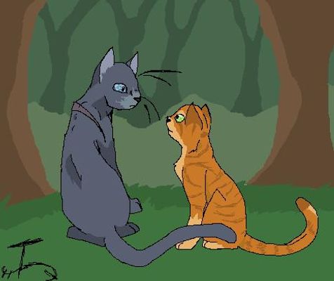 Warrior cat quiz (3)