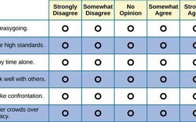 Career Guidance Personality Quiz