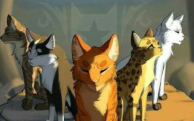 Warrior cats quiz!