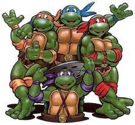 Which NINJA TURTLE are you??