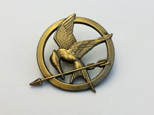 Which Hunger Games Tribute are you? (1)