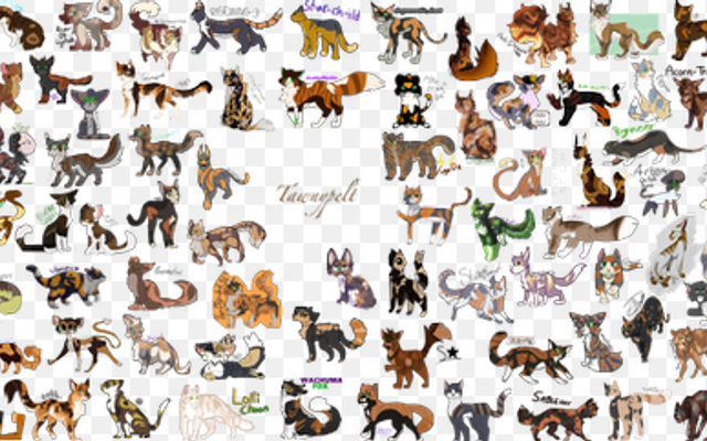 Out of Lionblaze, Jayfeather and Hollyleaf which one are you?