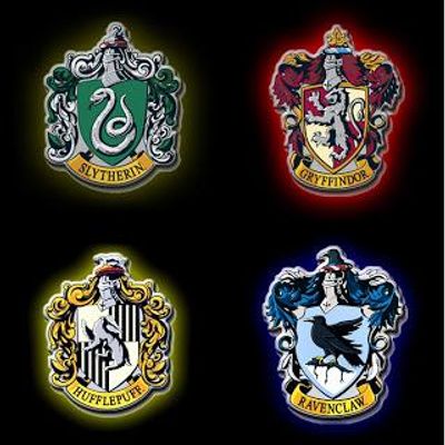 In what Hogwarts House do you belong in?