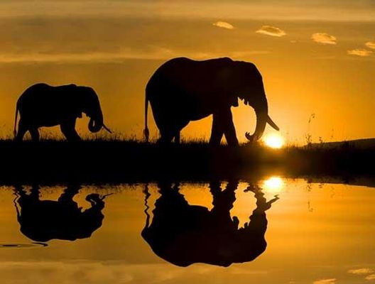 15 Interesting Facts about Africa