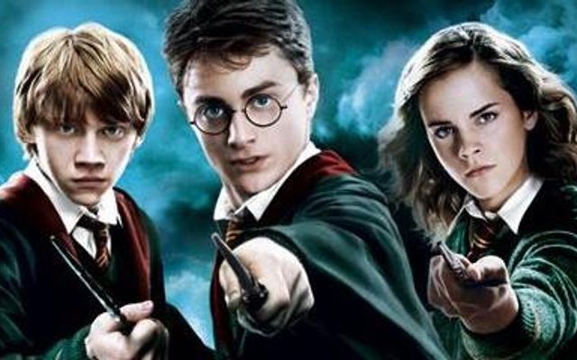 What Harry Potter character are you? (8)