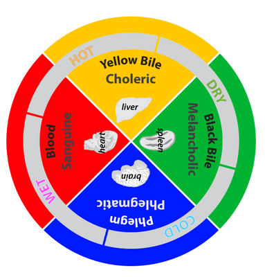 The Four Humors