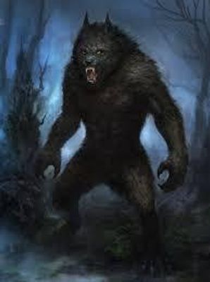 Are you a werewolf? (2)