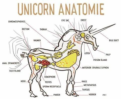 Discover Your Inner Unicorn Personality!