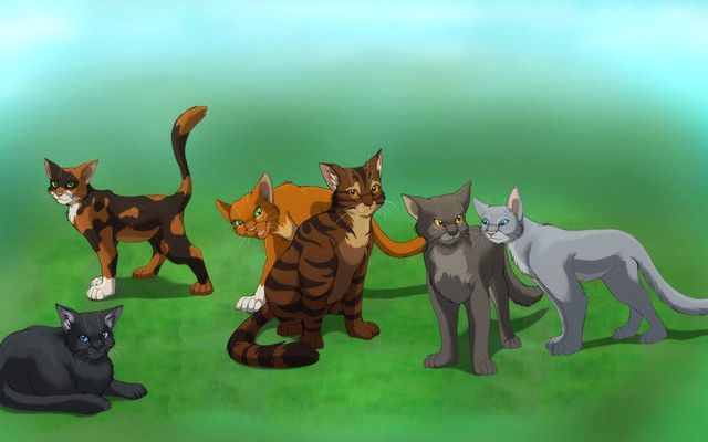 How much do you really know about Warrior cats?