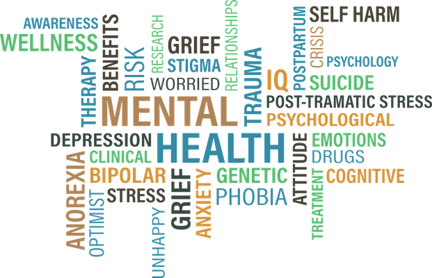 What's Your Mental Health?