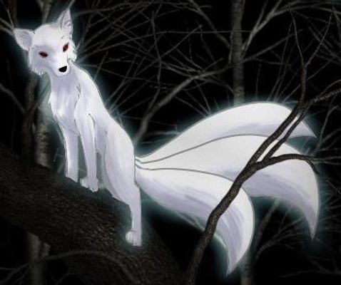 What Breed of Kitsune are you