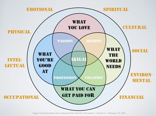 What's Your Lifestyle Type?