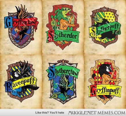 which combined Hogwarts house do you belong in?