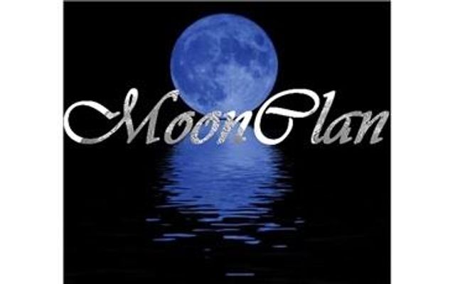 Warriors- Moonclans secrets: A new chance