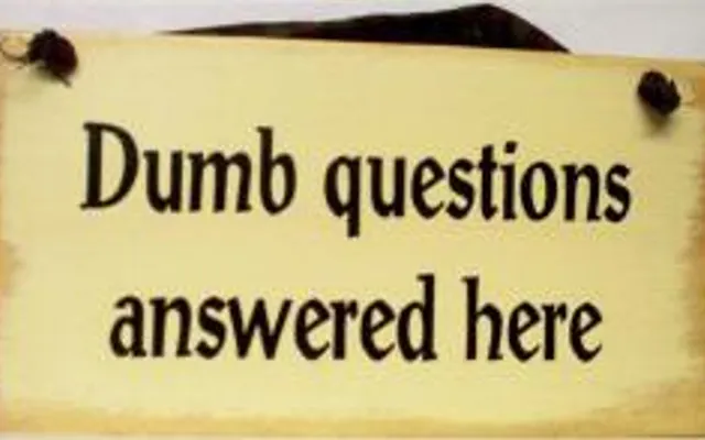 Dumb Questions to Ask Dumb Questions to Ask
