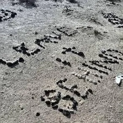 Forever with Doubt Forever with Doubt