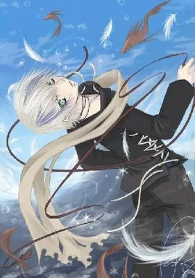 Winged Dream Winged Dream