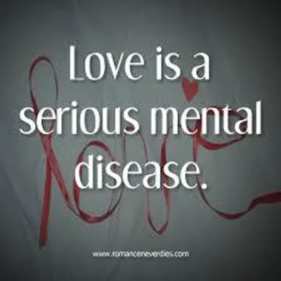 The Insanity of Love The Insanity of Love