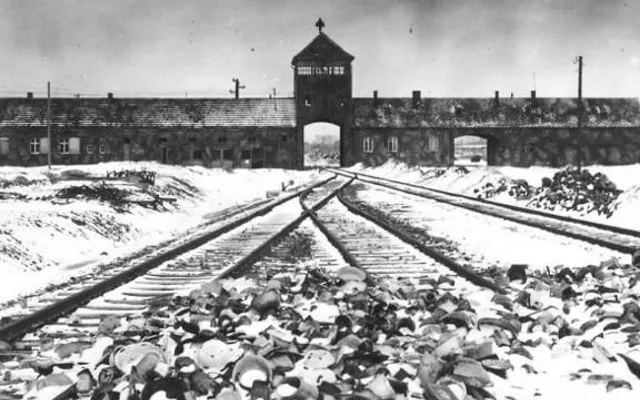 The Run Down Life The Run Down Life