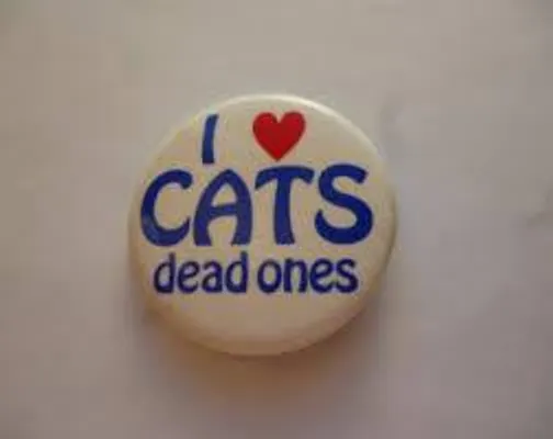 Why I Do Not Like Cats Why I Do Not Like Cats