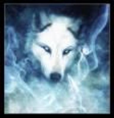 Sprit of the Wolf (1)