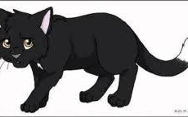 Zodiac (warrior cats)