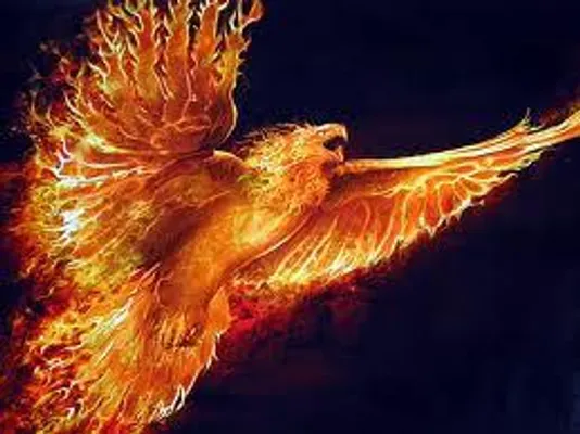 Phoenix Fire Phoenix Fire