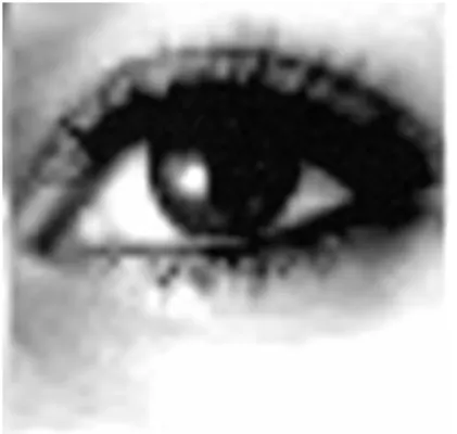 Some people love...Some people die... Some people love...Some people die...