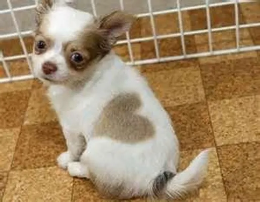 If I'm louder, would you see me? If I'm louder, would you see me?