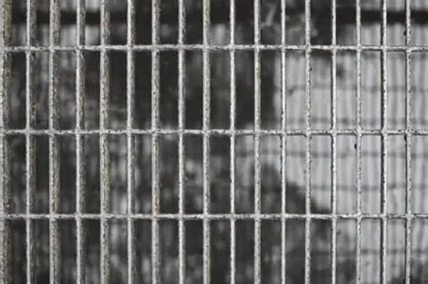 Captured (1) Captured (1)