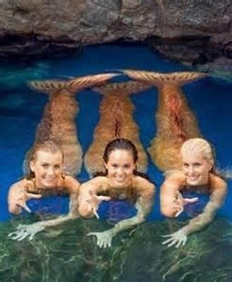 Mako Mermaids + Me