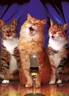 Songs That I Wrote Songs That I Wrote