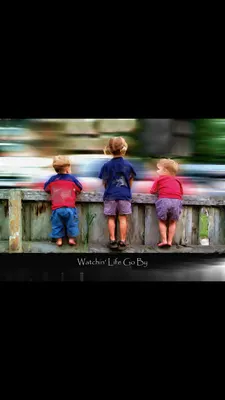 Whatching life go by Whatching life go by
