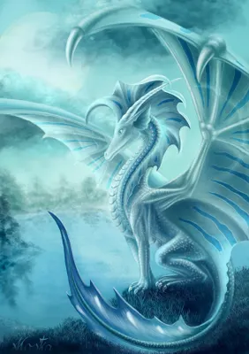 The Dragon Amulet... The Dragon Amulet...