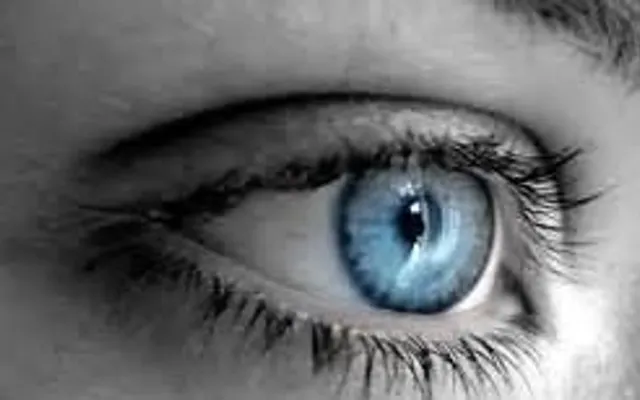 Your Twitching, Wonderous Eye Your Twitching, Wonderous Eye