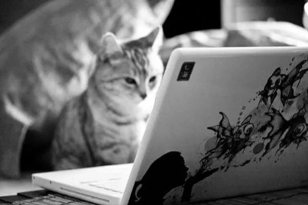 Taking over the World 101 Taking over the World 101