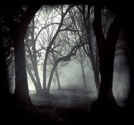 Why Don't You Come and Find Me? Why Don't You Come and Find Me?