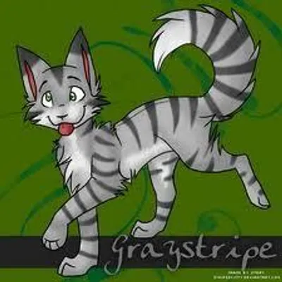 How to Create a Good Warriors OC How to Create a Good Warriors OC