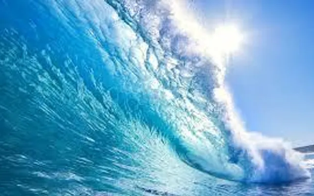 The Sound of Revenge The Sound of Revenge