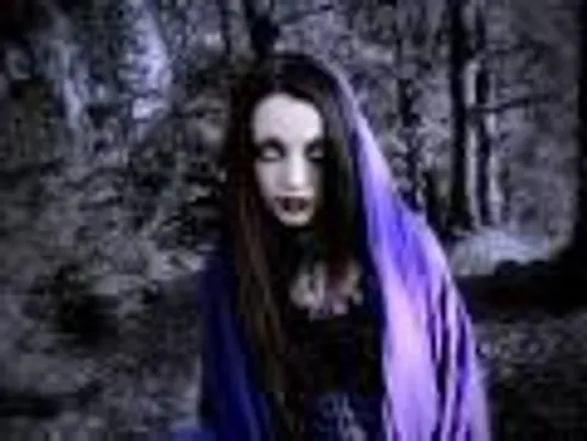 inside the shadows a vampire novel inside the shadows a vampire novel