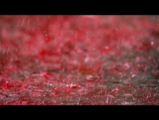 Blood rain (1)